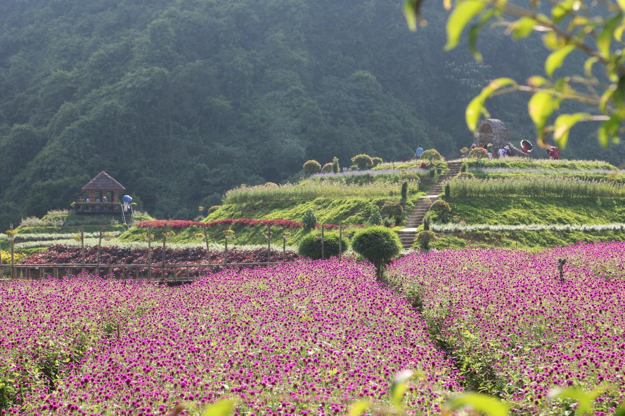 Thung Nham Resort Ninh Bình Exteriör bild