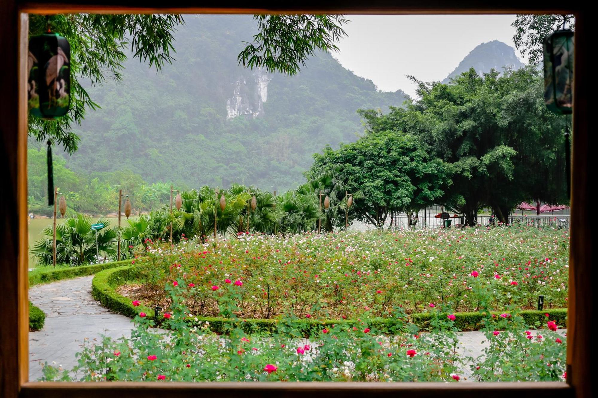 Thung Nham Resort Ninh Bình Exteriör bild