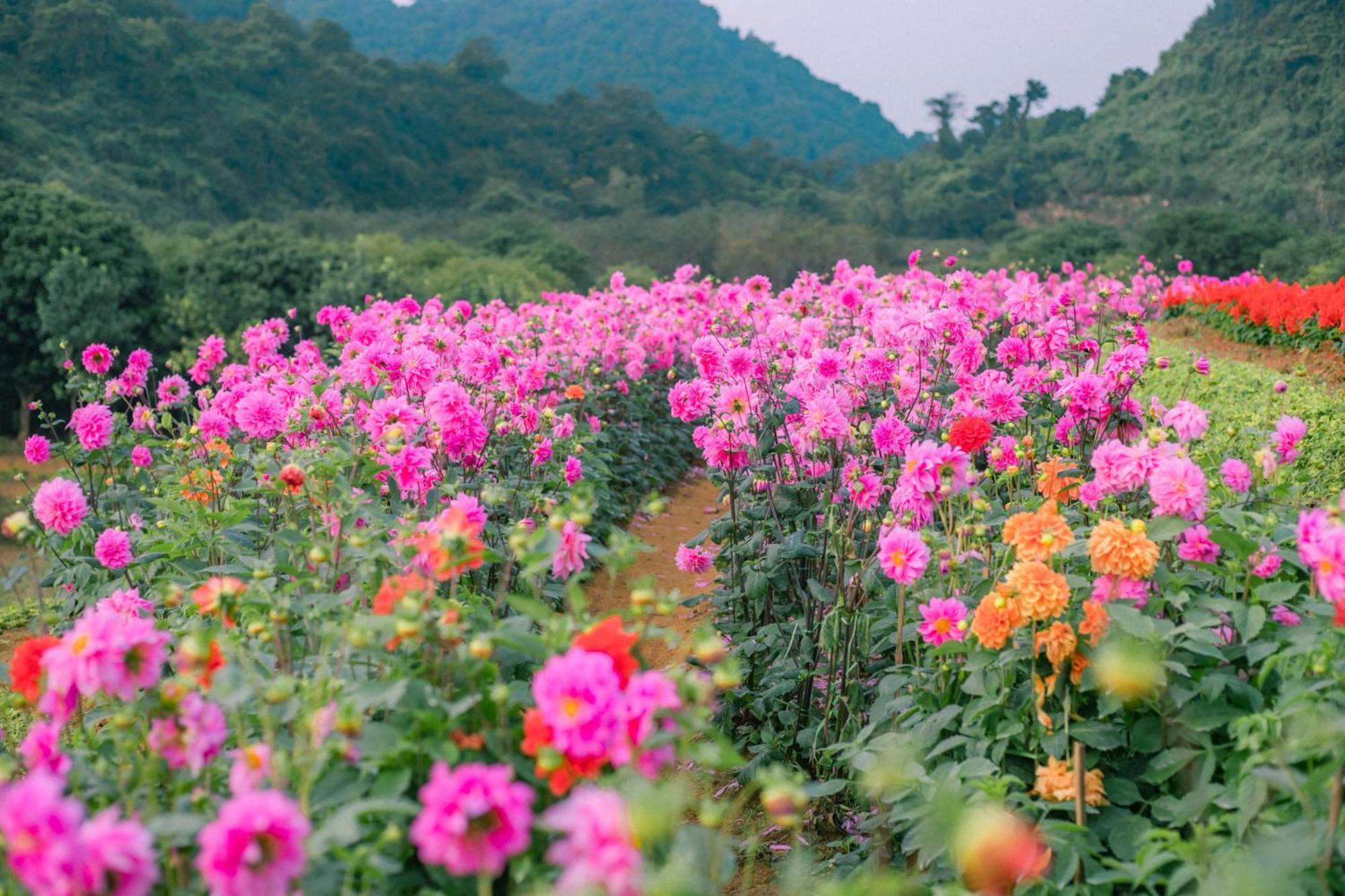 Thung Nham Resort Ninh Bình Exteriör bild