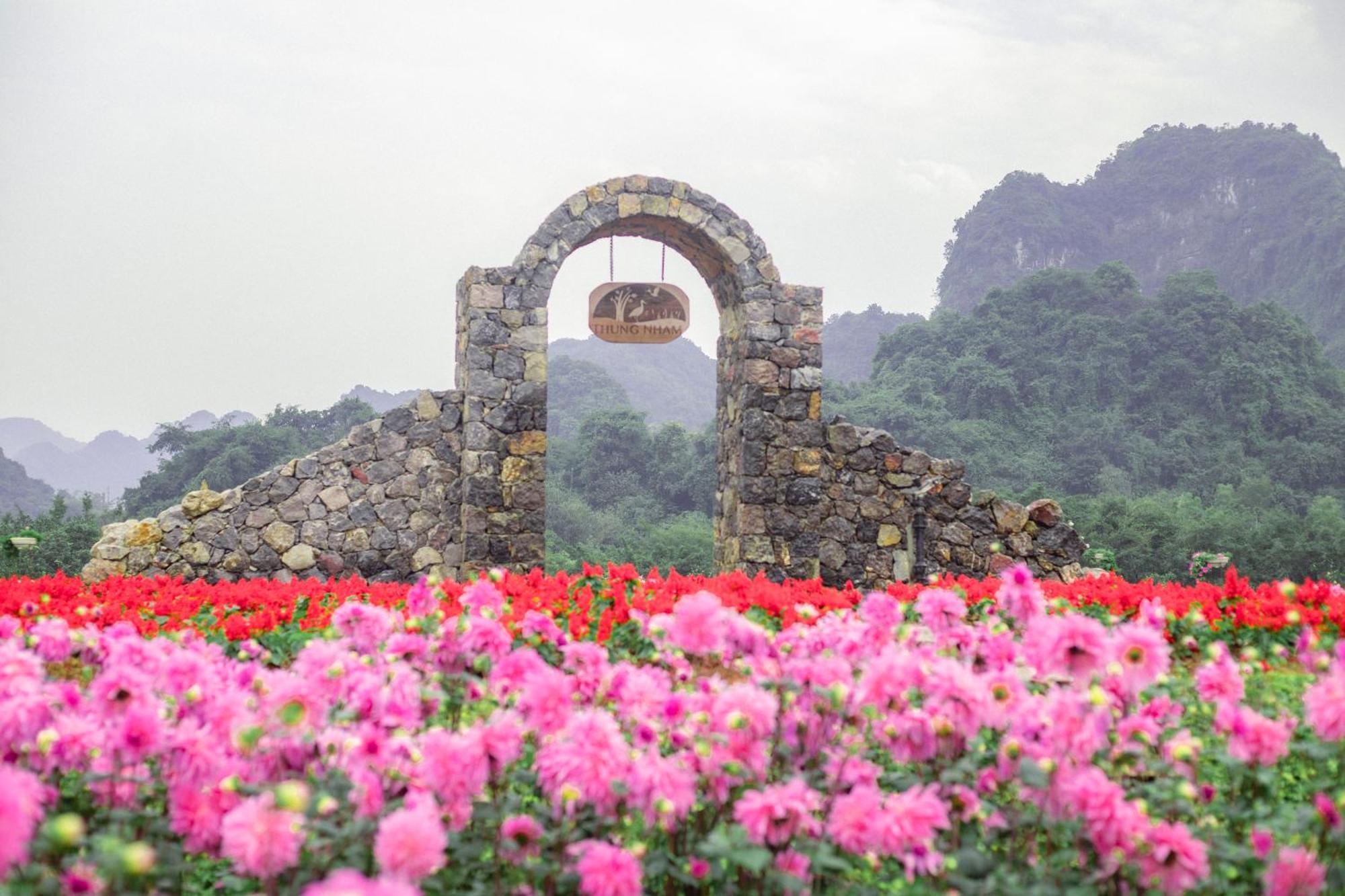 Thung Nham Resort Ninh Bình Exteriör bild