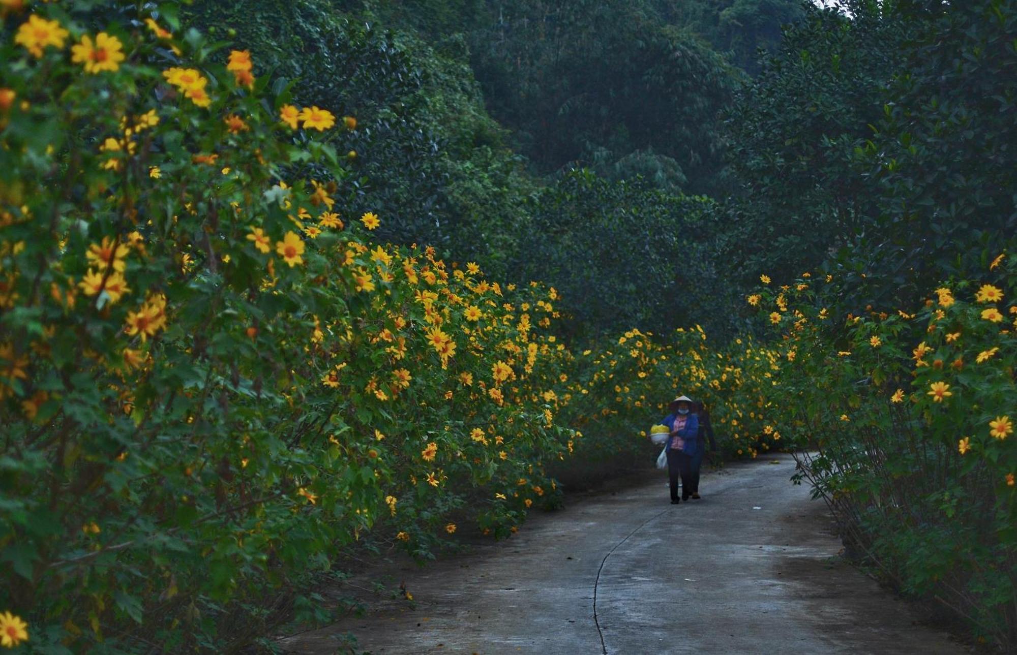 Thung Nham Resort Ninh Bình Exteriör bild