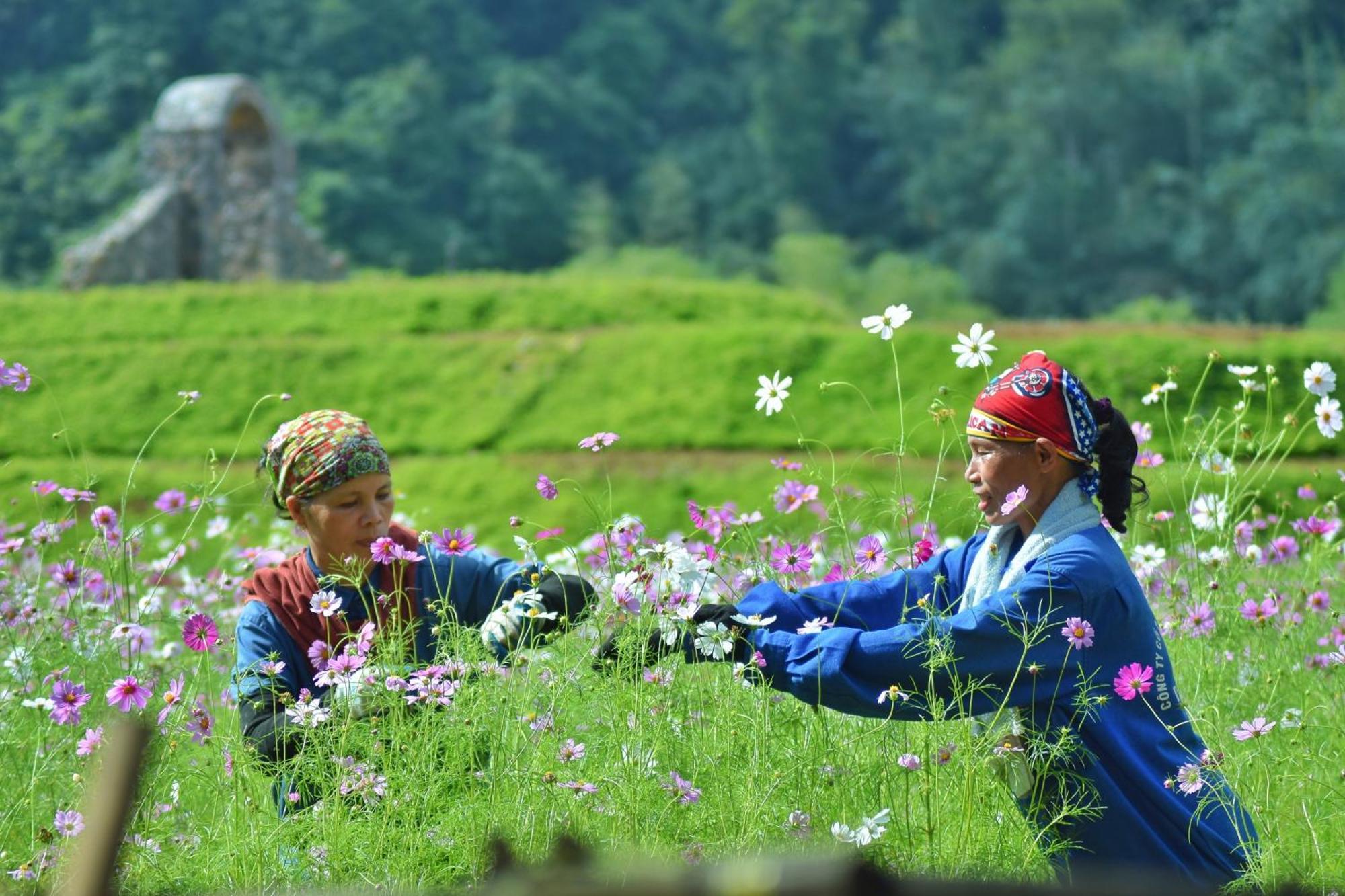 Thung Nham Resort Ninh Bình Exteriör bild