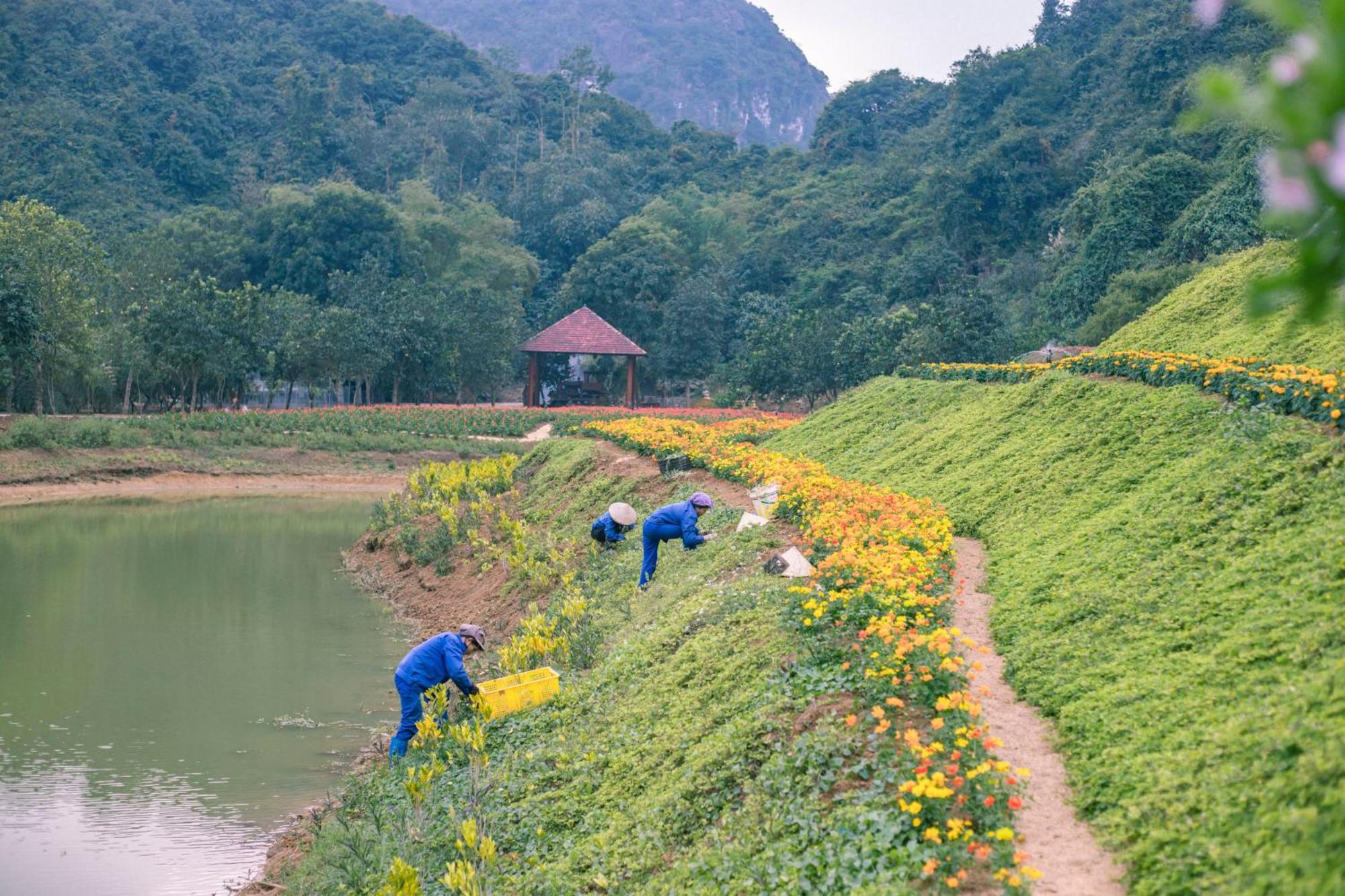 Thung Nham Resort Ninh Bình Exteriör bild