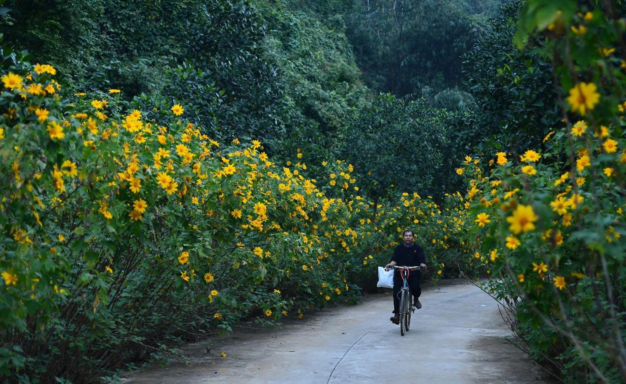 Thung Nham Resort Ninh Bình Exteriör bild