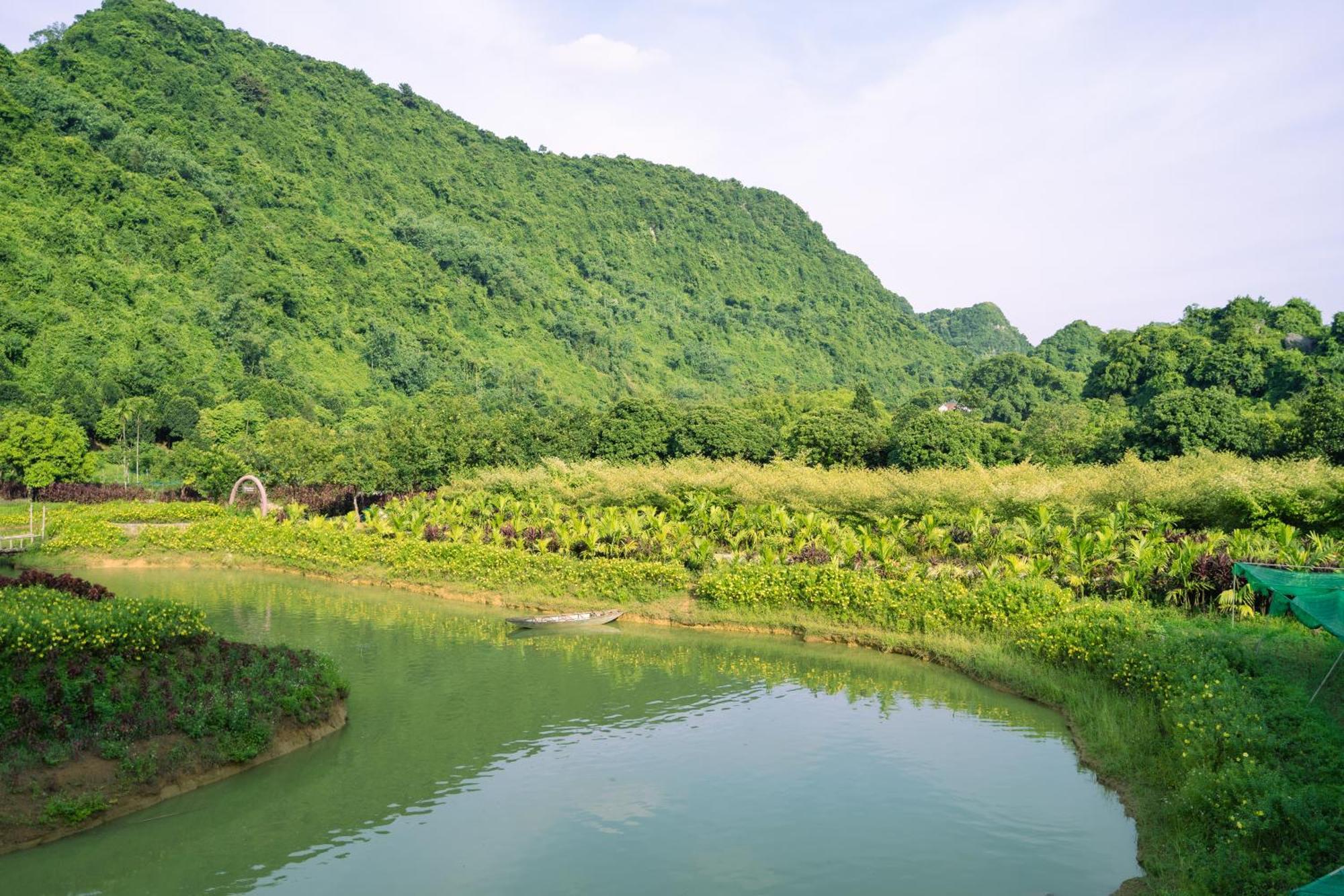 Thung Nham Resort Ninh Bình Exteriör bild